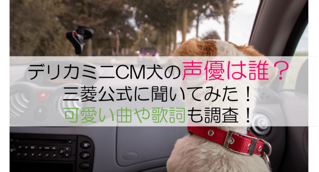 デリカミニ表紙
