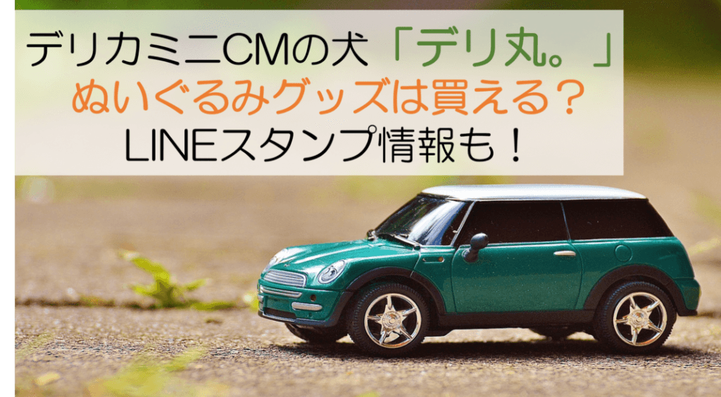 デリカミニ表紙