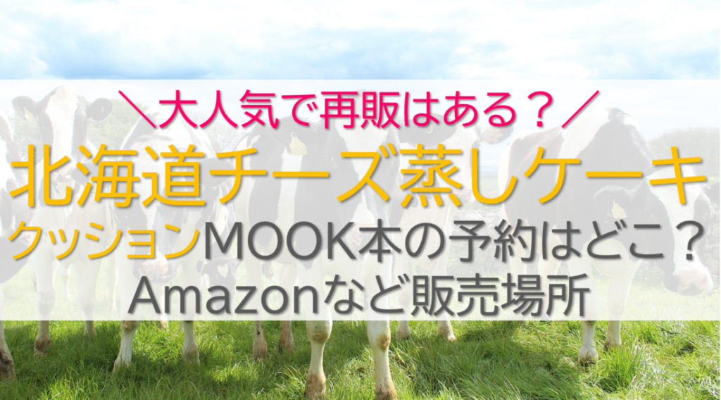 北海道チーズ蒸しケーキクッション予約